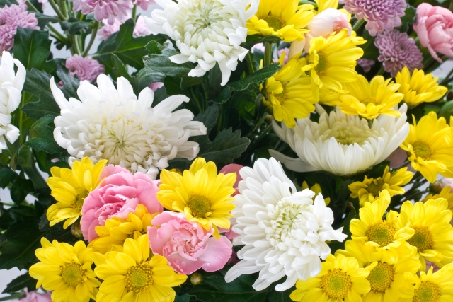 堺市での家族葬でよく使われる菊を中心にした落ち着いた雰囲気の供花を撮影した画像で、花の表情がわかる構図です。